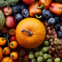 Harvest Festival 2026 image
