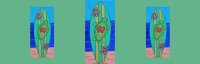06/13 "Turtle Surf" 12pm image