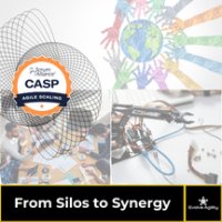 Certified Agile Scaling Practitioner® (CASP) image