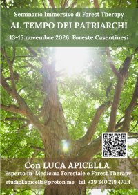 SEMINARIO IMMERSIVO Al Tempo dei Patriarchi - Un'esperienza in Foresta tra Passato, Presente e Futuro image