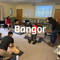 1 Day Emergency First Aid at Work - Bangor image