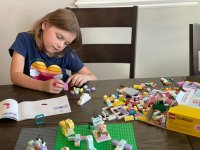 Homeschool Brick Bunch image