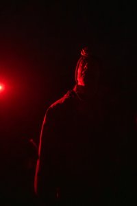 Nightjars & Cocktails Experience image