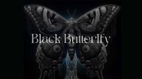 Black Butterfly image