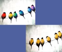 10/24 "Birds on a Wire" 3pm image