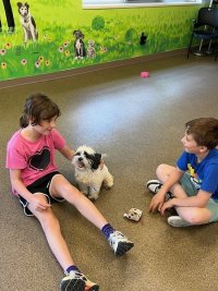 Camp PAWS - Spring Break 2027 image