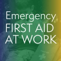 Emergency First Aid at Work image