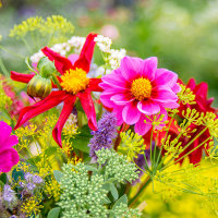 Blomsterbinding med blomster fra haven image