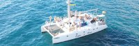 Gay Boat Party image
