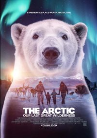 The Arctic: Our last great wilderness image