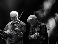 Darol Anger & Bruce Molsky image