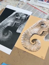 Drawing for the Not So Terrified Beginner image