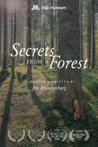 SECRETS FROM A FOREST: An Immersive Journey Through Nature, Art and Music image
