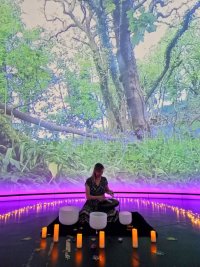 Guided Meditation with Reiki & Sounds in the Immersive Dome image