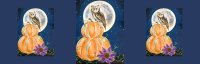 09/25 "Hootiful Harvest" 7pm image