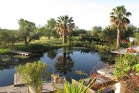 Finding Light Nervous System Reset Algarve Yoga Retreat image