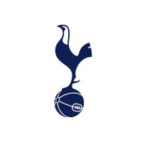 Tottenham Hotspur Stadium - Spurs vs Hoffenheim - Friendlies image