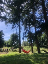 Forest School: Skills, Nature & Adventure - Gaelscoil, Chill Dara  C-PGFS-GN-26 image