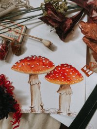 Class | Watercolor Mushrooms with Artist Kristine Toward image
