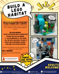Build a LEGO® Habitat (Teen and Adult Edition) image