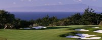 Golf Scramble image