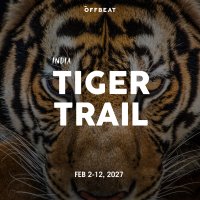 India Tiger Trail 2027 image