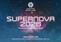 Supernova Disco 2027 image