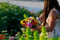 Sunshine Blooms & Dinner image