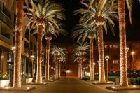 ZestMastership Full-Arch Education Course - San Jose, CA image