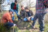 Nature Detective Day image