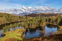 The Healing Bow Hikes - Tarn Hows & Black Crag image
