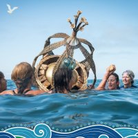 Swim from the Wild Shore image