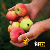 Growhampton: Meet our Old Orchard & Apple Harvest image