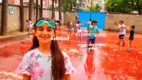 Ashtead - Summer Holiday Course 2026 - City of London Freemen's School - British Theatre School image