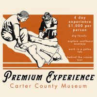 Premium Experience image