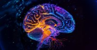 UC Davis Brain Health Lecture Series: Lifestyle Approaches that Promote Brain Health image