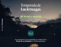 Avistamiento Luciérnagas en Tlatlauquitepec. Temporada 2026 image