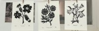 Linocut Taster Workshop: Wildflowers image