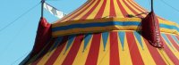 WELCOME TO THE CIRCUS 🎪🍸 image