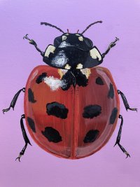 Acrylic Bug Paintings with Rachel Cabral image
