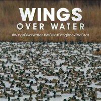 Michael Keaton's WINGS OVER WATER image