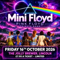 MINI FLOYD - THE ULTIMATE PINK FLOYD EXPERIENCE image