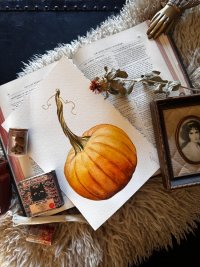 Class | Watercolor Pumpkin with Artist Kristine Toward image