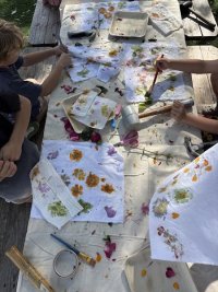 MERENDA & STAMPA BOTANICA image