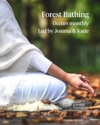 Forest Bathing image