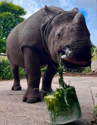 Tea and Talks: Enrichment in Action image