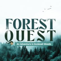 Forest Quest - An Adventure in Ecclesall Woods image