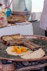 A Backyard Taquiza image
