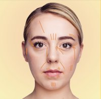 Introduction to Facial Diagnosis in Chinese Medicine image