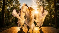 Fox&Badge Ritual - Solstice image